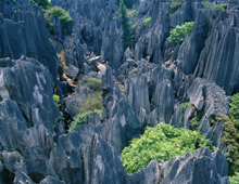 yunnan-stone-forest