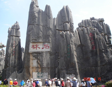 stone forest
