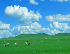 hohhot grassland